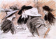 Paul Cesar Helleu Vos Chapeaux, 18"x27" Wall Decal Print