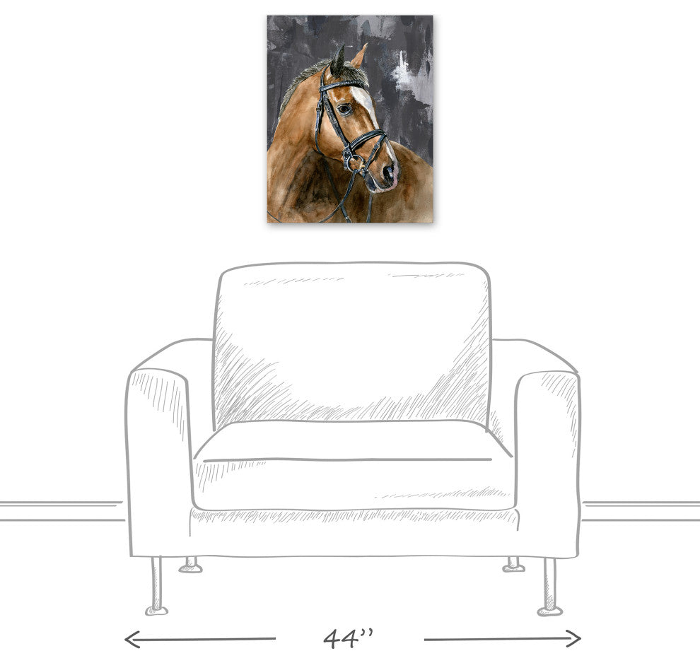 Mono Stoic Horse 16x20 Canvas Wall Art
