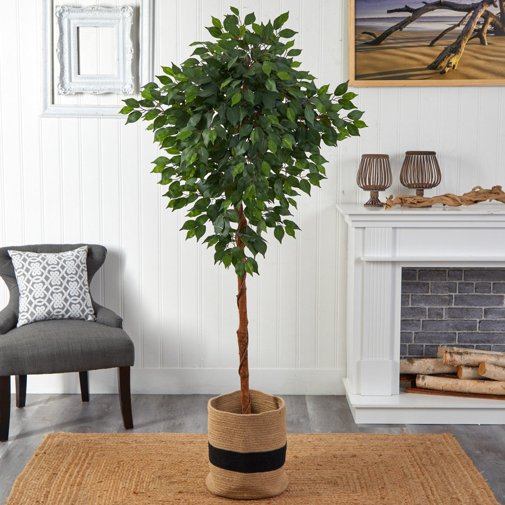 Lifestyle image: product shown in a living room setting with tree visible.