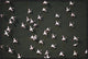 Lesser Flamingo Flock Taking Flight From The Surface Of A Lake, Kenya, 36"x24"