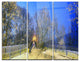 "Mariinsky Garden With Blue Sky" Photo Metal Wall Art, 3 Panels, 36"x28"