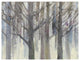 "Forest Light" Digital Paper Print by Albena Hristova, 42"x32"