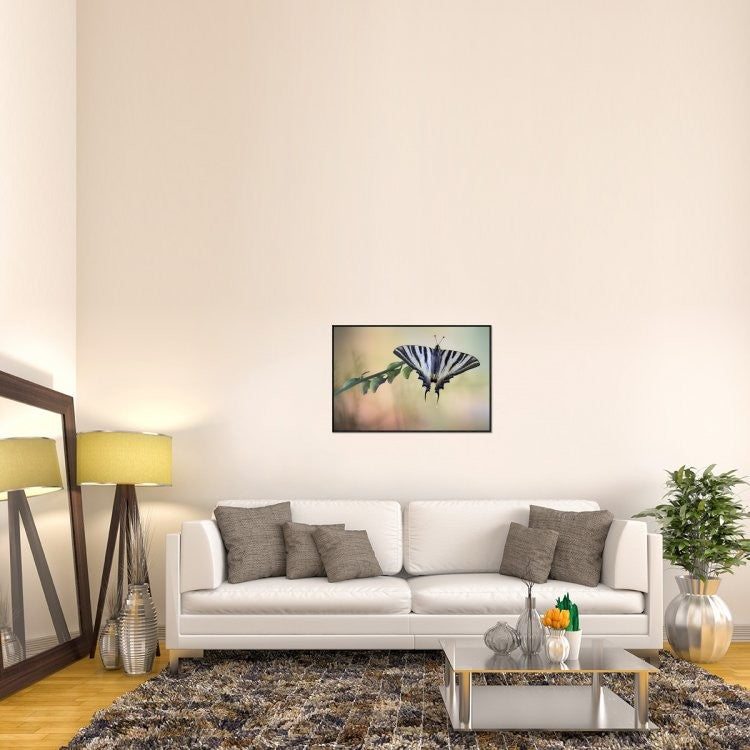 "Chupa Leche" Framed Canvas Giclee by Jimmy Hoffman, 37x25"