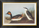 "Eared Grebe" Framed Canvas Giclee by John James Audubon, 28x20"