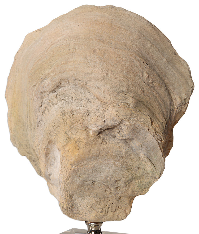 Oyster Shell Sculptures, Set of 2