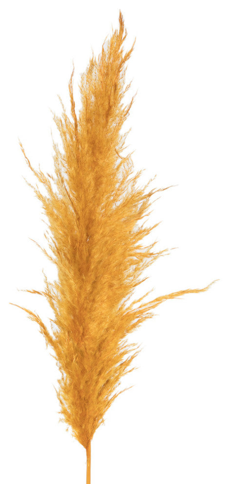 Vickerman 46" Dried Pampas Grass, Aspen Gold