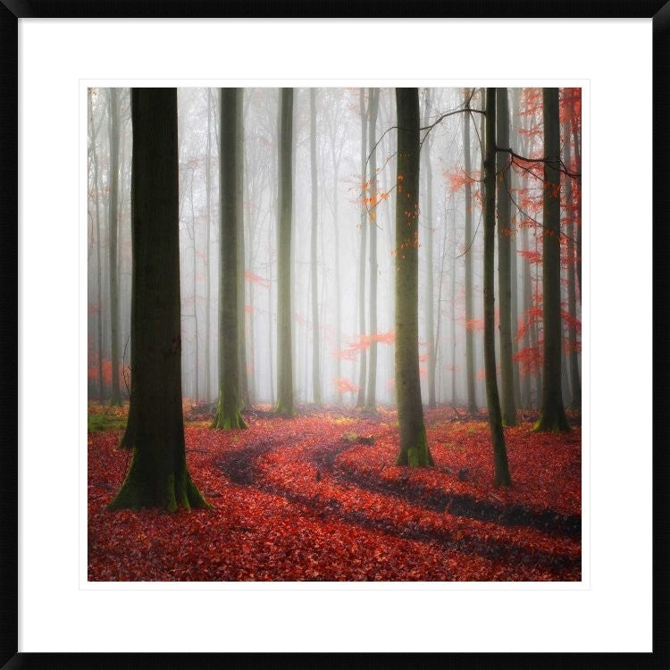 "Autumnal Tracks" Framed Digital Print by Carsten Meyerdierks, 30x30"