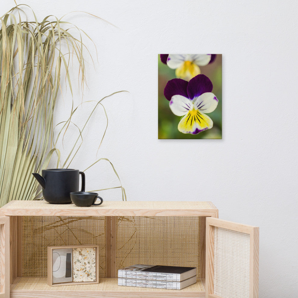 Pretty Little Violets Floral Nature Photography Canvas Wall Art Print, 12" X 16"