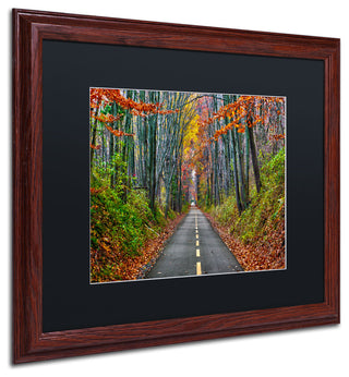 'Paths' Matted Framed Canvas Art by CATeyes