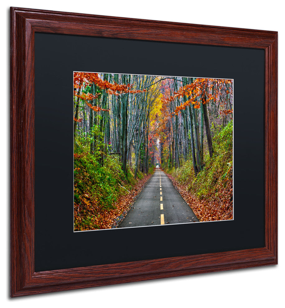 'Paths' Matted Framed Canvas Art by CATeyes
