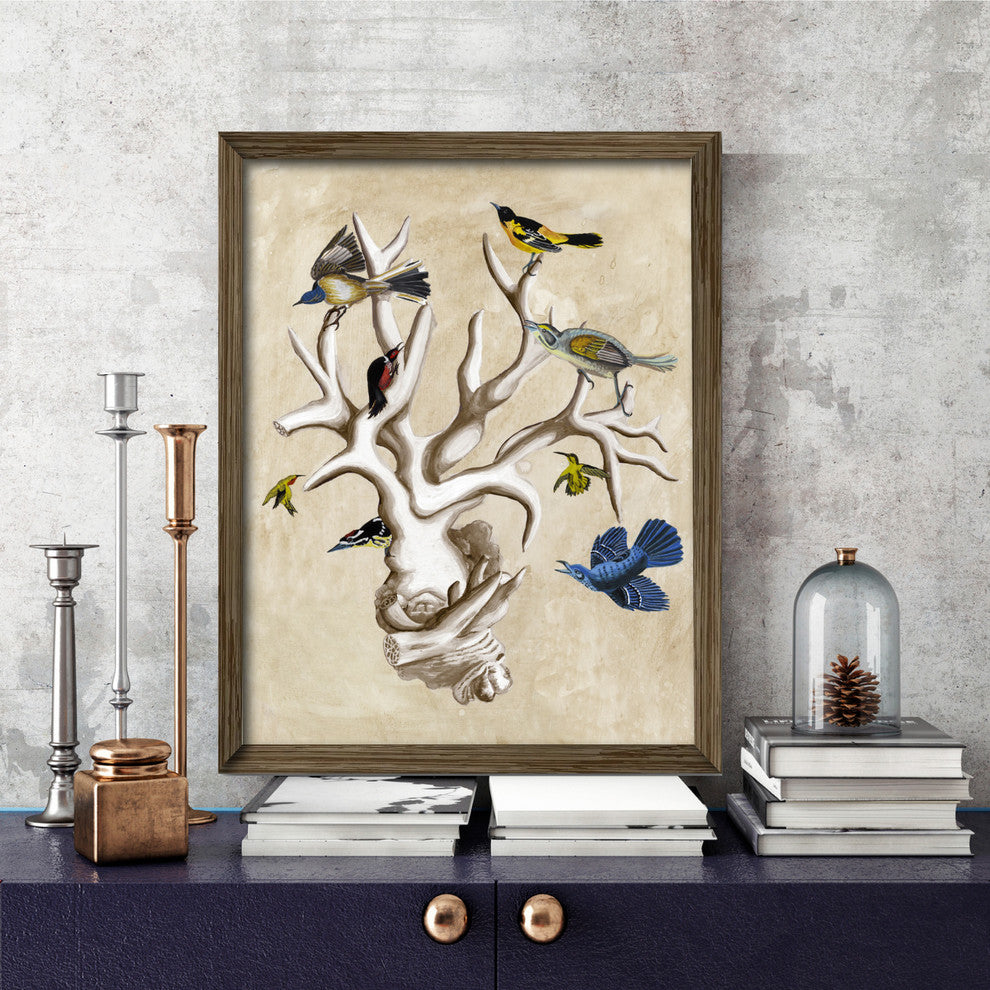 "The Ornithologist's Dream II" Gallery Framed Canvas Wall Art, 16"x20"