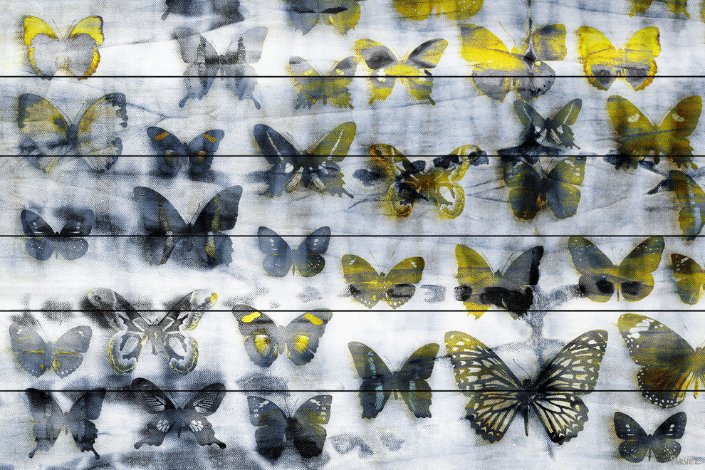 "Yellow Wings" UV Ink Print on White Wood60"x40", 60"x40"