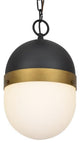 CRYSTORAMA CAP-8507-MK-TG Outdoor 2 Light Outdoor Pendant