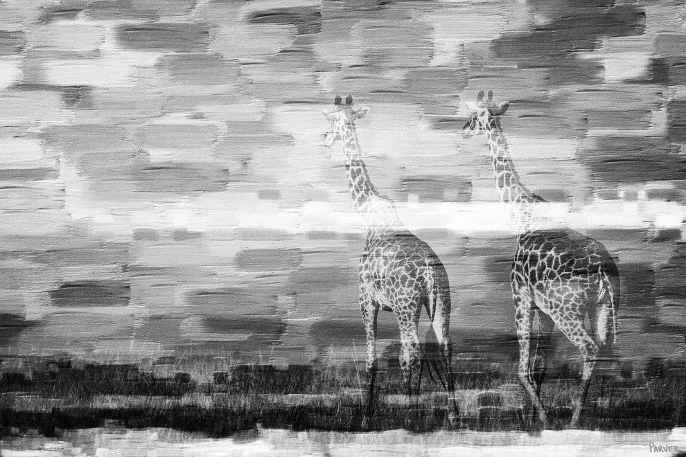 "Giraffes" Print on Canvas, 45"x30"