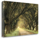 "Evergreen Alley" By William Guion, Giclee Print on Gallery Wrap Canvas