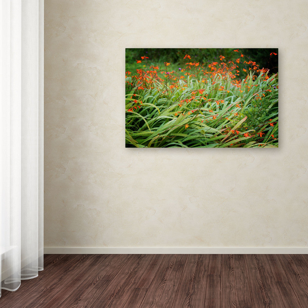 ''Vitality'' Canvas Art by Philippe Sainte-Laudy