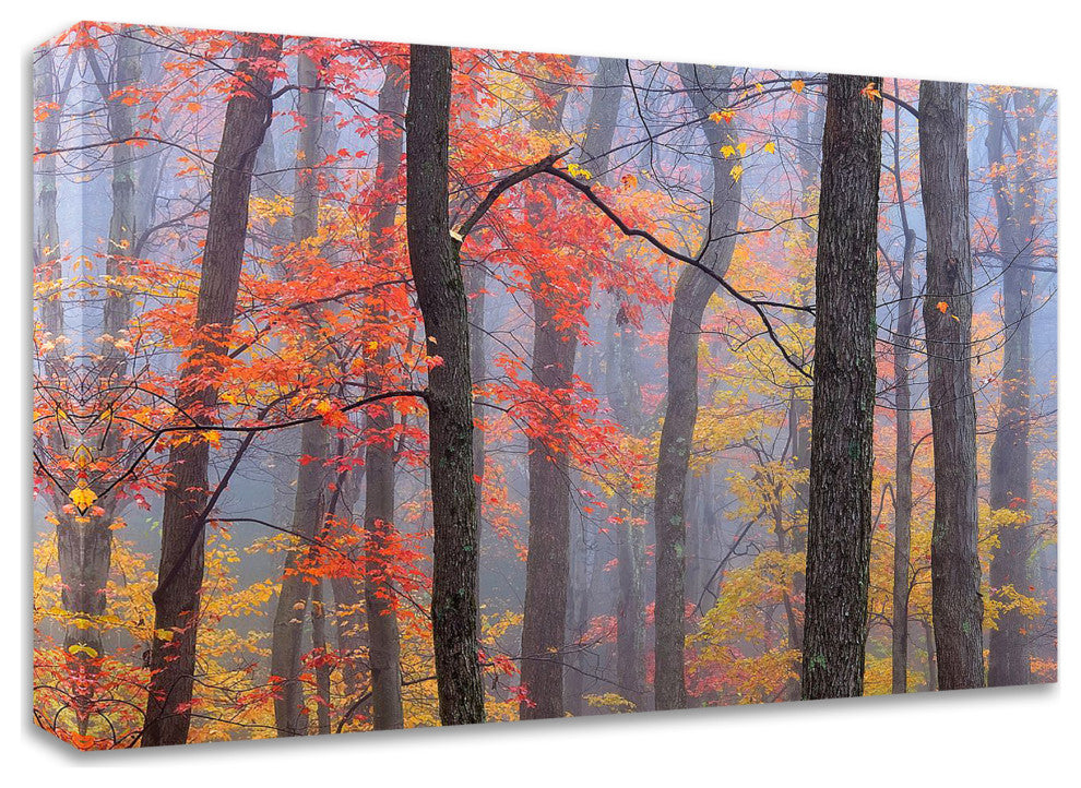 "Fire in the Fog" by Patrick Zephyr, Print on Canvas, 17"x12"