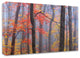 "Fire in the Fog" by Patrick Zephyr, Print on Canvas, 17"x12"