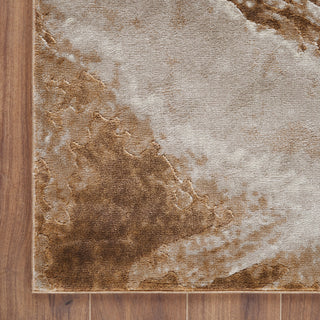 Damian Brown/Beige Rug, Brown, 2'7"x8' Runner