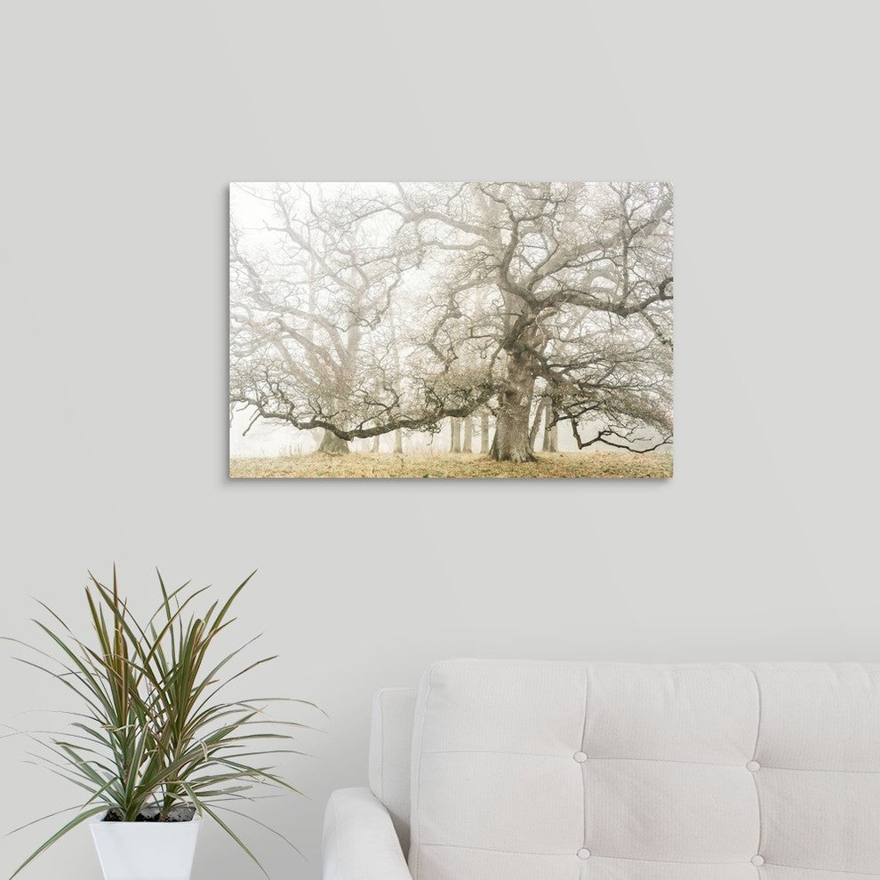 "The ghost oaks" Wrapped Canvas Art Print, 24"x16"x1.5"
