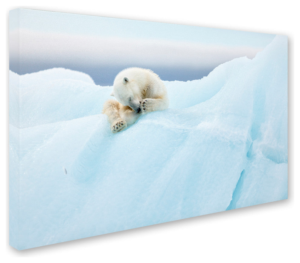 Joan Gil Raga 'Polar Bear Grooming' Canvas Art, 32x22