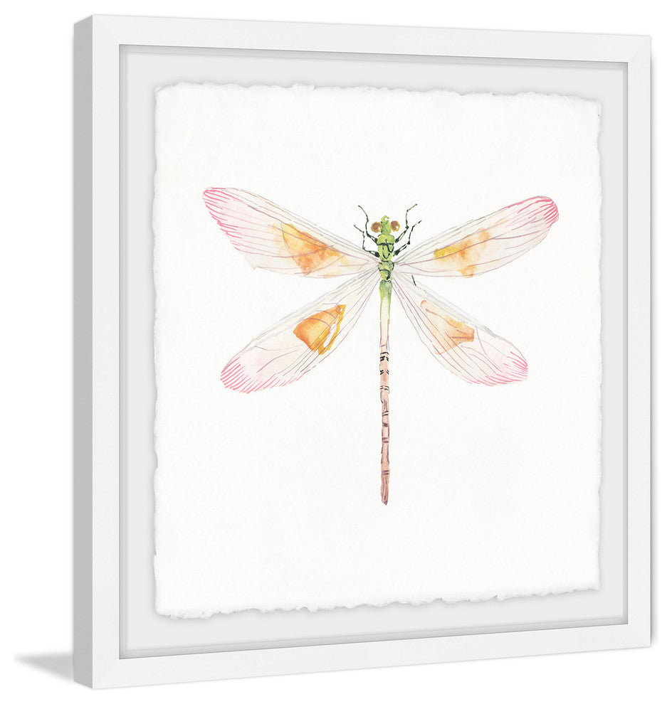 "Translucent Dragonfly" Framed Painting Print, 24"x24"