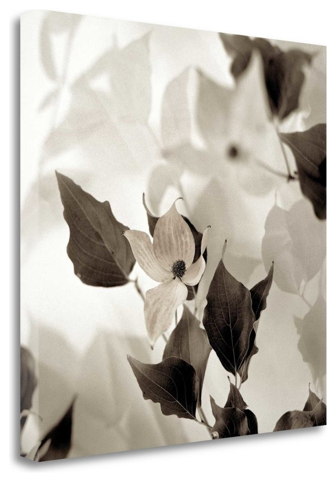 "Florison - 54" By Alan Blaustein, Giclee Print on Gallery Wrap Canvas