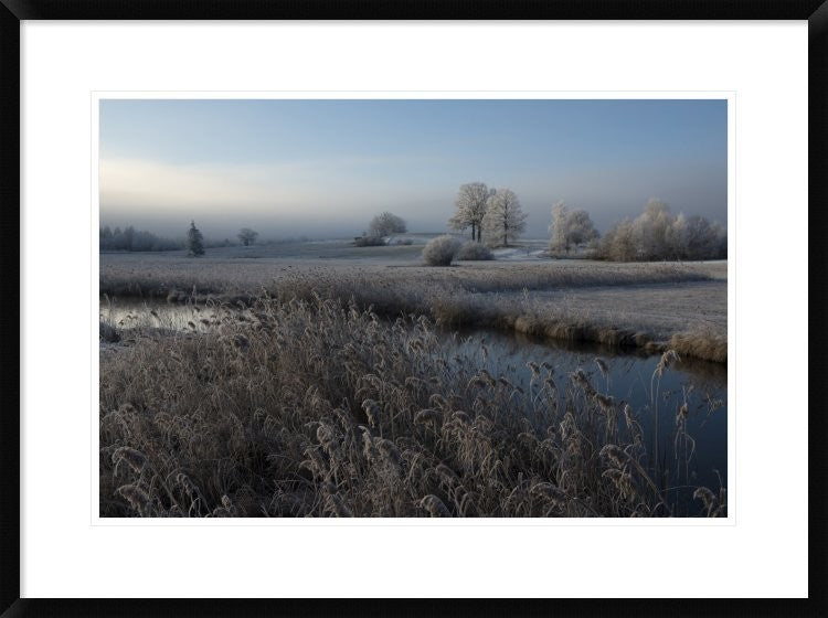 "Cold" Framed Digital Print by Nina Pauli, 32x24"