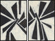 Pinwheel Diptych, 48x36
