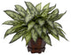Triple Silver Queen With Hexagon Vase Silk Plant