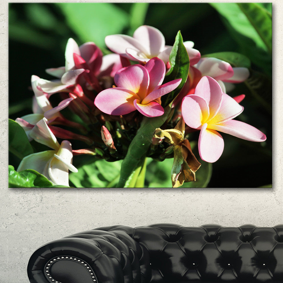 Beautiful Little Pink White Flowers, Floral Art Canvas Print, 40"x30"