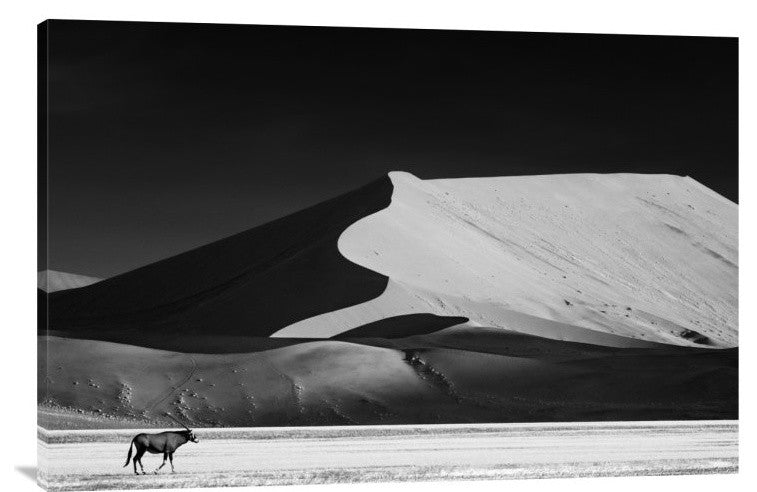 "The Solitary" Stretched Canvas Giclee by Mathilde Guillemot, 36x24"