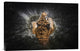 "Tiger Splash" Stretched Canvas Giclee by Win Leslee, 24"x16"
