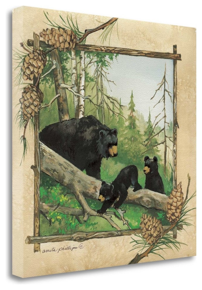 "Black Bears IV" By Anita Phillips, Giclee Print on Gallery Wrap Canvas