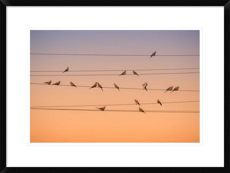 "Music Of Light" Framed Digital Print by John Fan, 30x22"