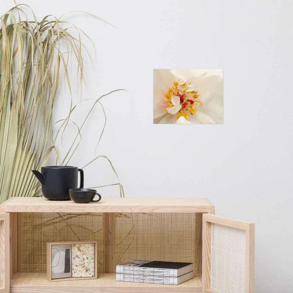 Eye of Peony Nature Photography, Floral Unframed Wall Art Print, 11" X 14"