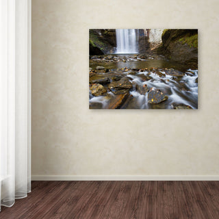 'Looking Glass Falls' Canvas Art by Pierre Leclerc