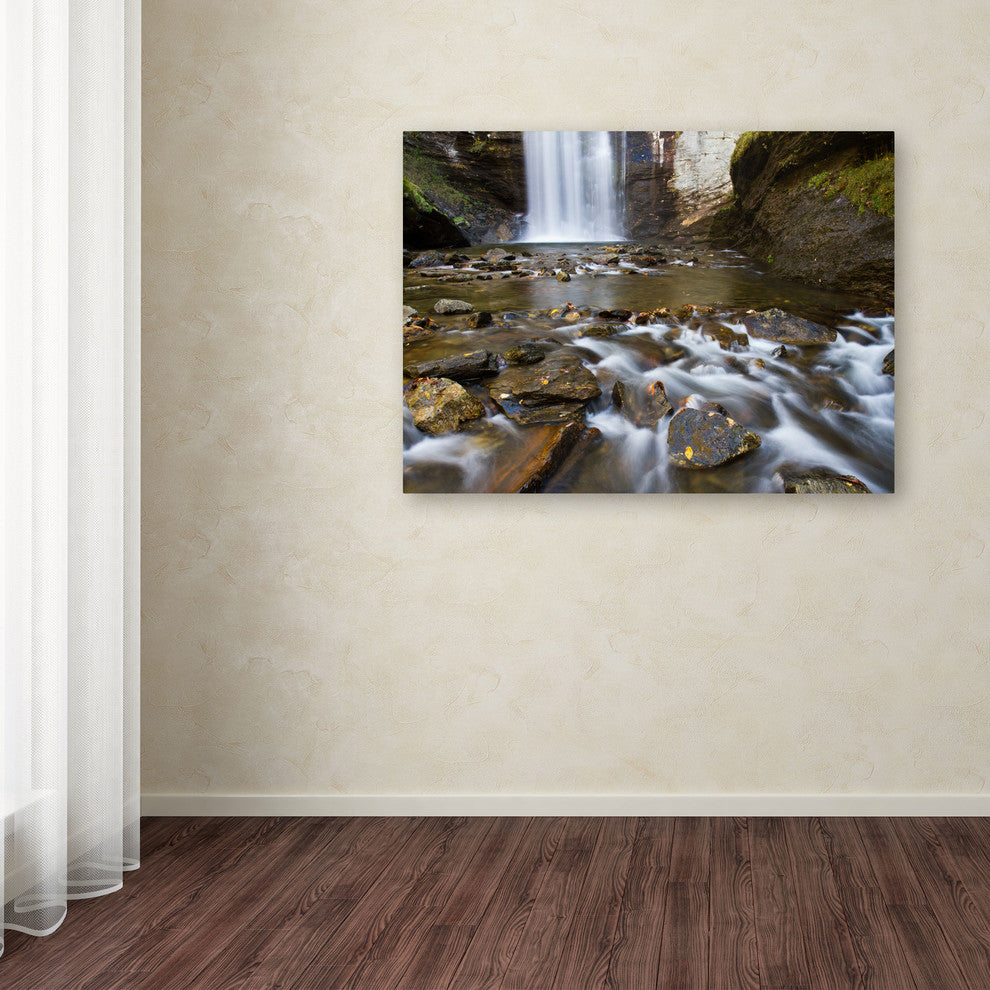 'Looking Glass Falls' Canvas Art by Pierre Leclerc