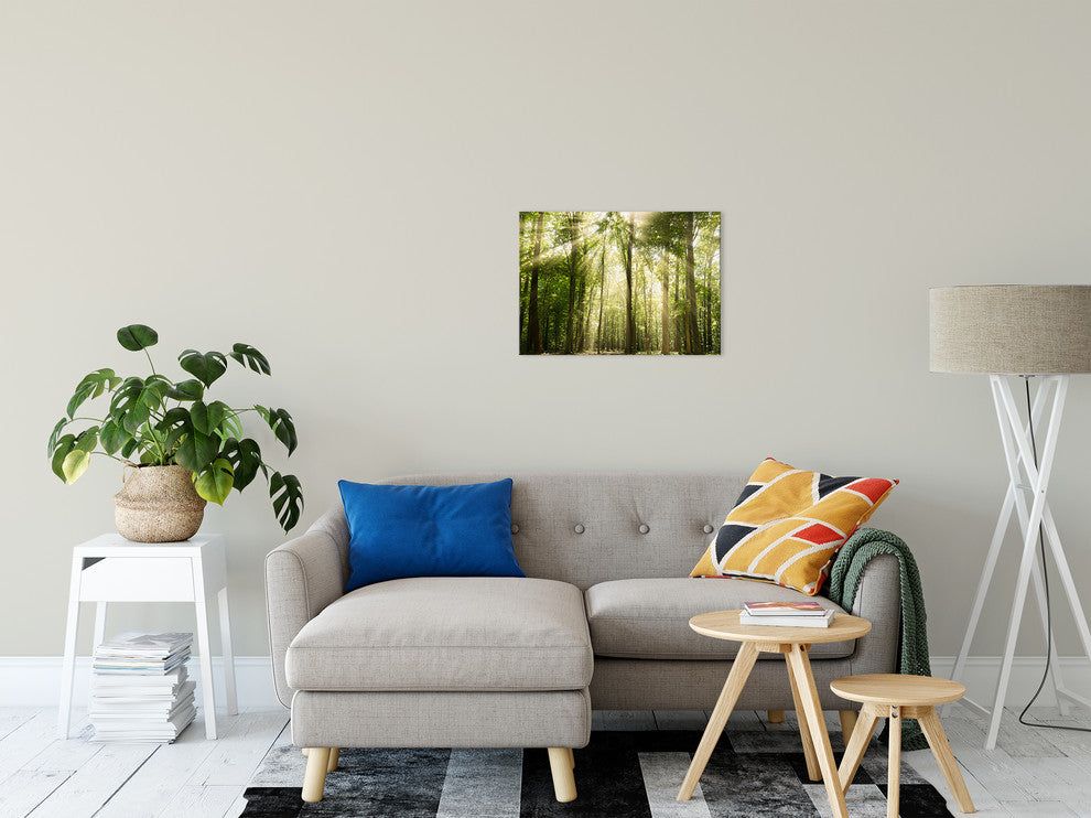 Sun Rays Through Tree Tops Rural Landscape Photo Canvas Wall Art Print, 16" X 20"