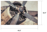 Iron Bird