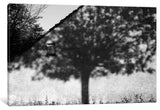 "Ombre" by Colin Giral, 40x26x1.5