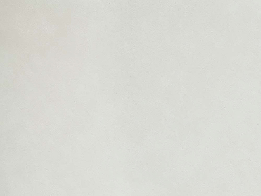 Acme Gaines Side Chair Set-2 White PU