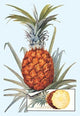 Pineapple- Fine Art Giclee Print 24" x 36"