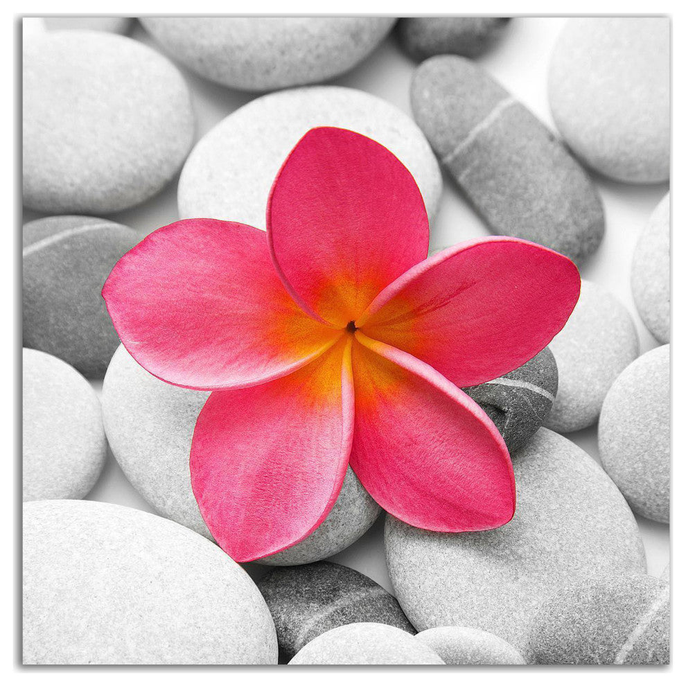 "Zen Flower" by PhotoINC Studio, Print on Canvas, 24"x24"
