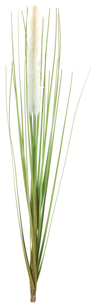 Foxtail Bush, Set of 12