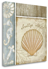 "Scallop Shell" By Jennifer Pugh, Giclee Print on Gallery Wrap Canvas