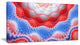 Red Blue Snake Skin Flower, Abstract Art on Canvas, 32x16