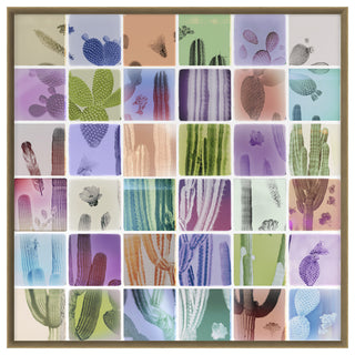 Analog Cacti Fine Art Print, Oak, 40"x40"