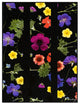 ''Night Garden'' Canvas Art by Kathie McCurdy