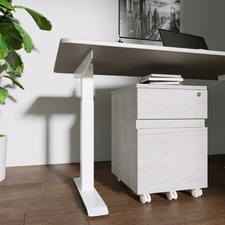 Techni Mobili Rolling 2-Drawer Vertical Filing Cabinet, Gray